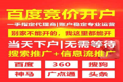 SEM公司案例研究：搜索引擎营销实战经验分享